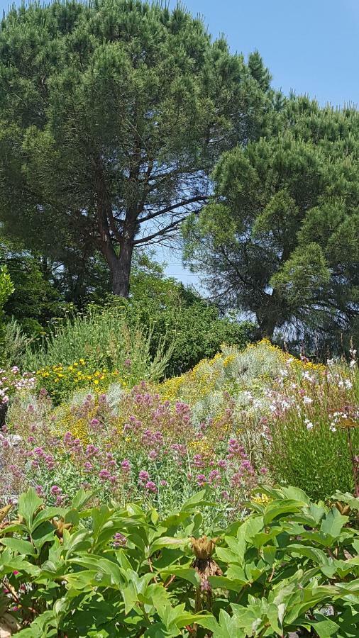 Au Calme Chez L'Habitant Foulayronnes Εξωτερικό φωτογραφία