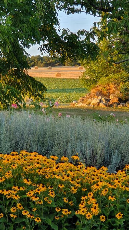Au Calme Chez L'Habitant Foulayronnes Εξωτερικό φωτογραφία